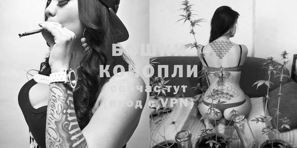 мдпв Карпинск