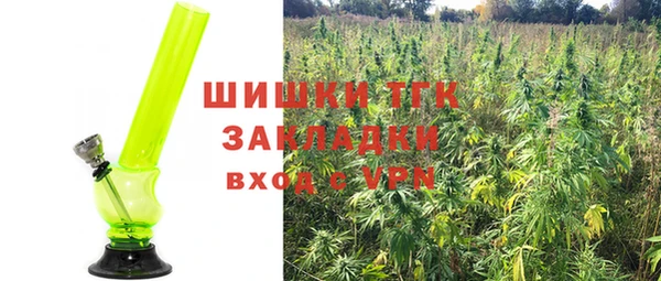 сатива Киренск