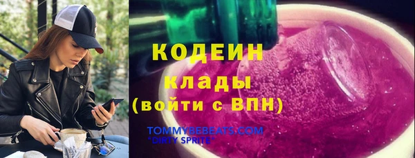 спайс Корсаков