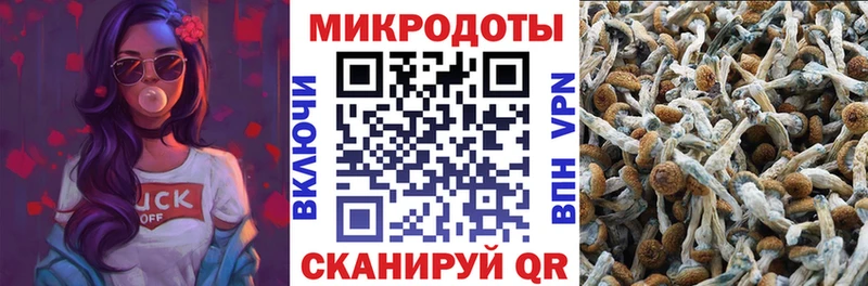 Галлюциногенные грибы Psilocybe  площадка официальный сайт  Палласовка 